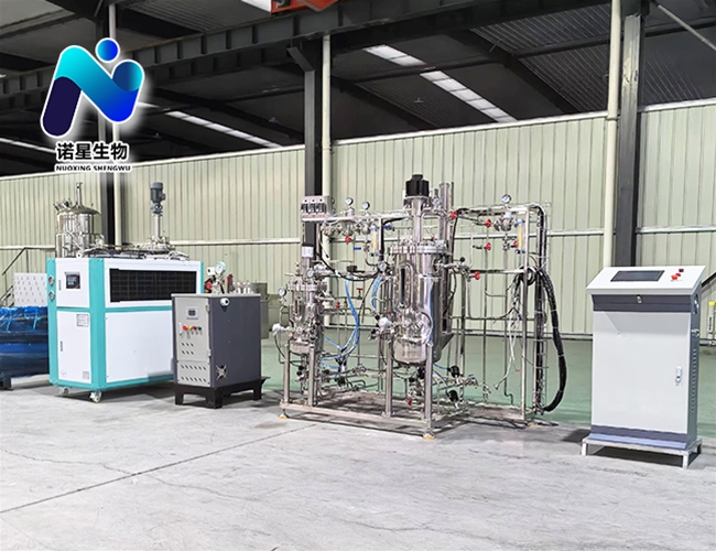 10L-50L實驗室生物發酵罐